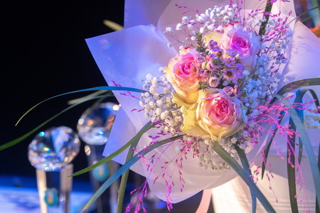 Slavnostna podelitev športnih priznanj (3)